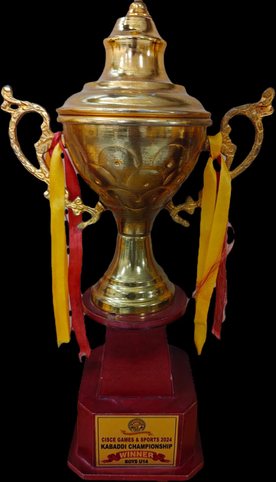 CISCE Games & Sports 2024 — Kabaddi Championship